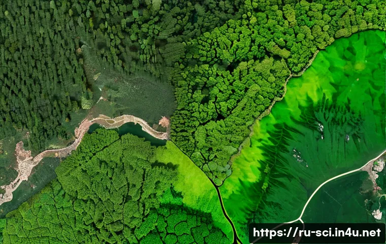 지구 관측 위성과 환경 모니터링 - A high-resolution satellite view of a vast Russian forest showing detailed patches of deforestation ...